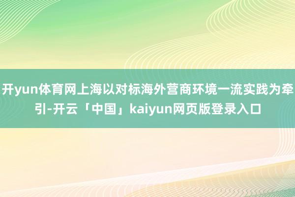 开yun体育网上海以对标海外营商环境一流实践为牵引-开云「中国」kaiyun网页版登录入口