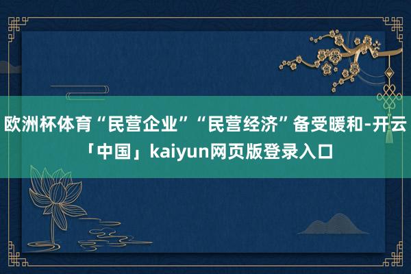 欧洲杯体育“民营企业”“民营经济”备受暖和-开云「中国」kaiyun网页版登录入口
