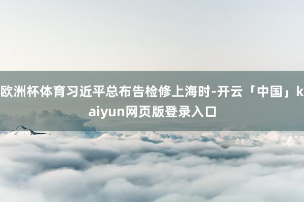 欧洲杯体育习近平总布告检修上海时-开云「中国」kaiyun网页版登录入口