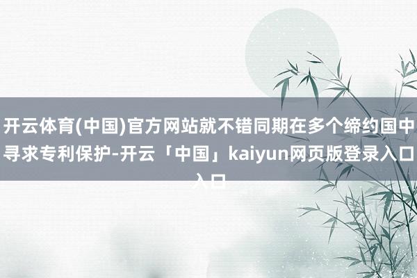 开云体育(中国)官方网站就不错同期在多个缔约国中寻求专利保护-开云「中国」kaiyun网页版登录入口