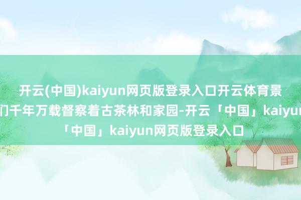 开云(中国)kaiyun网页版登录入口开云体育景迈山的东说念主们千年万载督察着古茶林和家园-开云「中国」kaiyun网页版登录入口